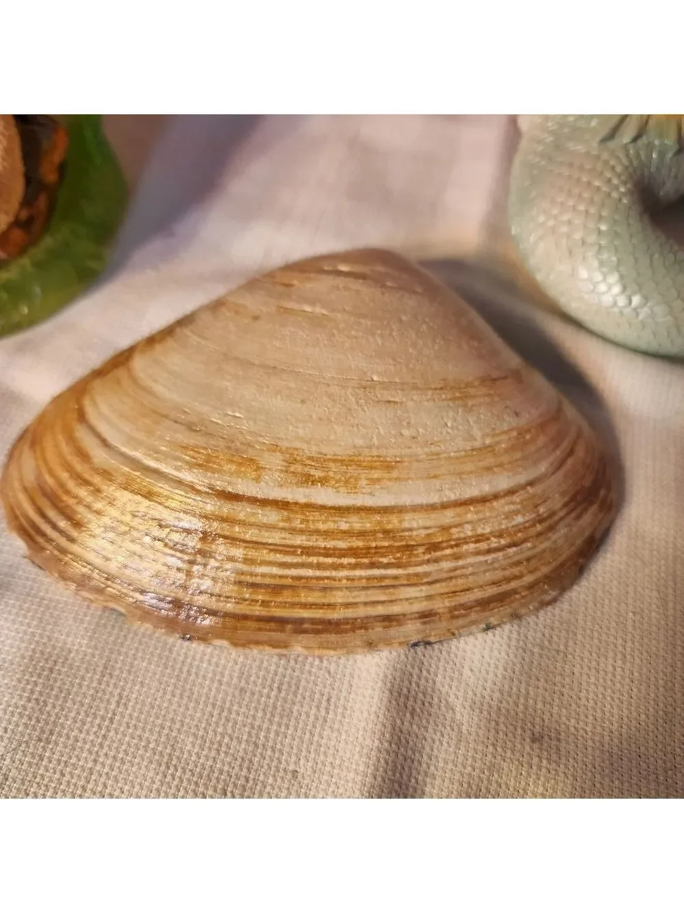 DECOUPAGE CLAM SHELL
